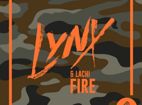 Lachi Lynx